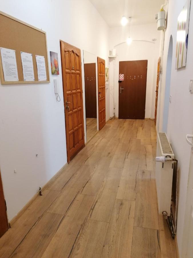 Hostel Tulip - Pokoj Jednoosobowy Nr 3 Ze Wspolna Lazienka I Kuchnia Stettino Esterno foto